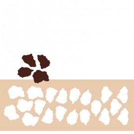 chablon pour chocolat