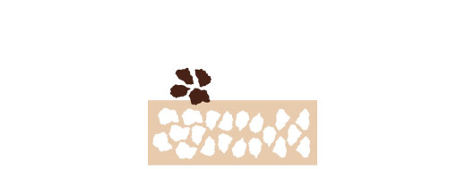 chablon pour chocolat