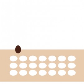 chablon pour chocolat