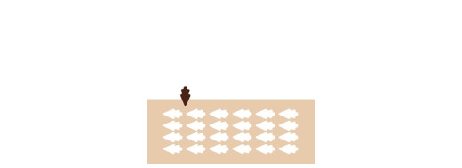 chablon pour chocolat