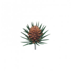 Pommes de pins