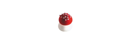 Champignon grand