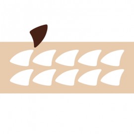 chablon pour chocolat