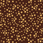 Pluie d'Etoiles Pluie d'Etoiles