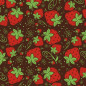Fraise Fraise