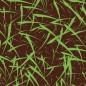Herbe verte Herbe verte