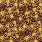 Lumière Lumière