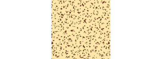 Aérien Cacao