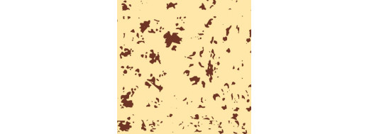 Flocons Cacao