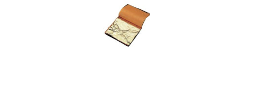 Carnet Feuilles Or