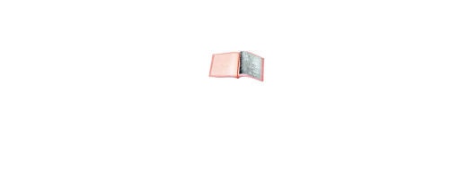 Carnet Feuilles Or