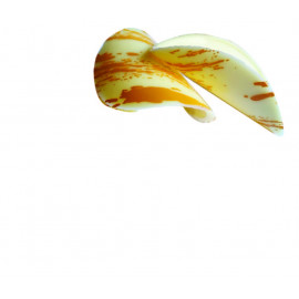 Chips
