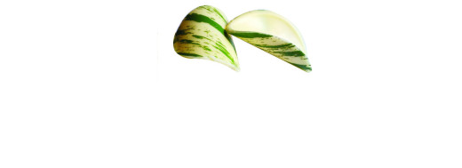 Chips