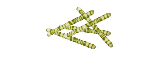 Stick 