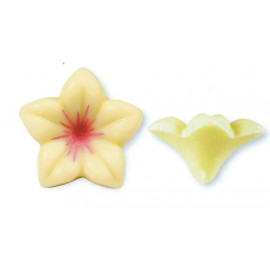 plaquette décoration alimentaire en chocolat fleurette/ Manudecors