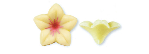 plaquette décoration alimentaire en chocolat fleurette/ Manudecors