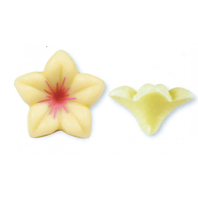 plaquette décoration alimentaire en chocolat fleurette/ Manudecors