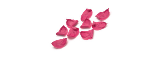 fleurs chocolat
