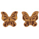 papillon chocolat