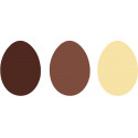 Assortiment petits oeufs chocolat