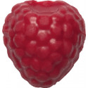 Framboise chocolat 2D