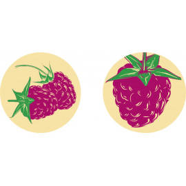 plaquette framboise