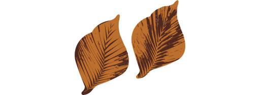 Feuilles cuivre petit modèle