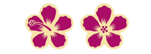 fleurs chocolat