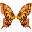 ailes de papillon orange et jaune