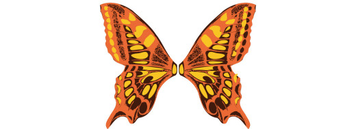ailes de papillon