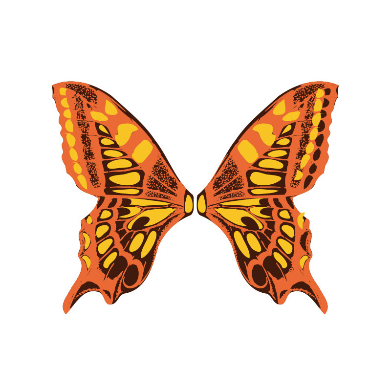 ailes de papillon