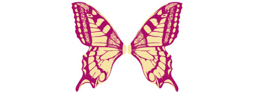 plaquette decors ailes de papillons en chocolat / Manudecors