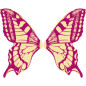 Ailes de papillon fuchsia