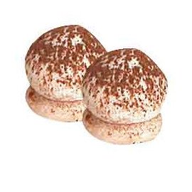 Champignon petit