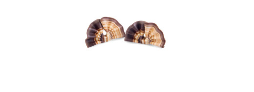 Eventails en chocolat