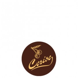 plaquette décors chocolat fruit