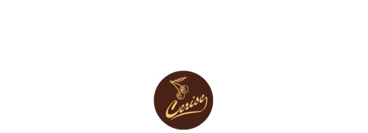 plaquette décors chocolat fruit