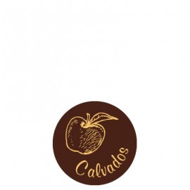 plaquette décors chocolat fruit