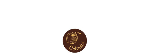 plaquette décors chocolat fruit