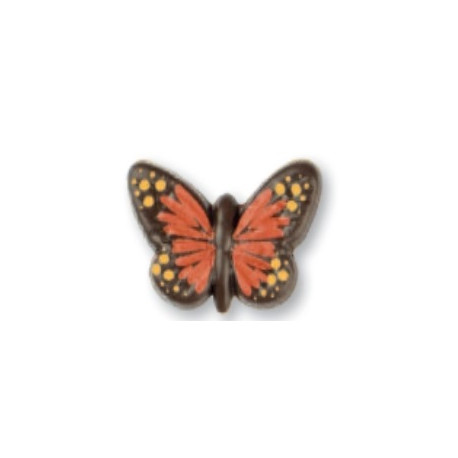 papillon orange