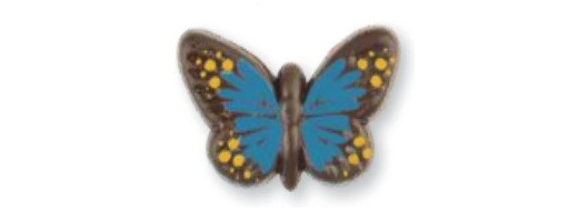 papillon bleu