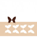 Chablon ailes de papillon