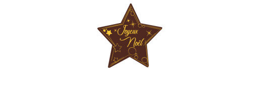 Etoile de Noël