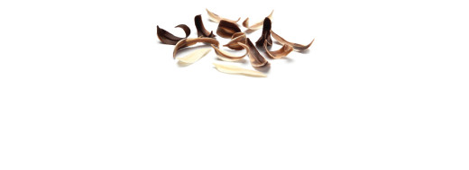 feuilles en chocolat