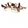 feuilles en chocolat