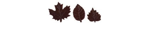 Feuillage assorti choco noir