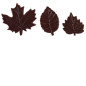 Feuillage assorti choco noir