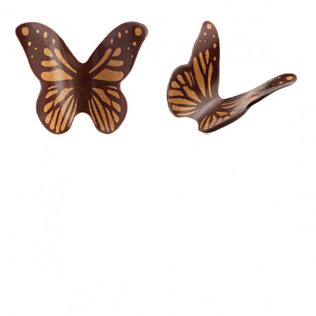 Papillon ailes courbes cuivré