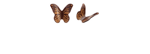 papillon ailes courbes cuivré