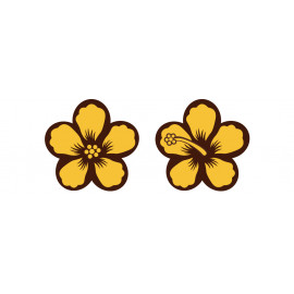 fleurs en chocolat